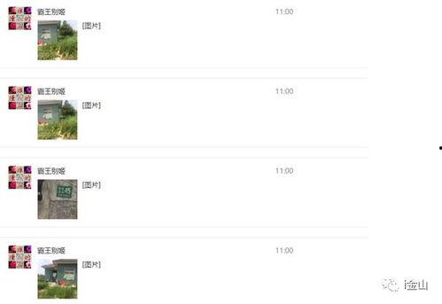新闻爆料举报热线电话,守护正义的守护者